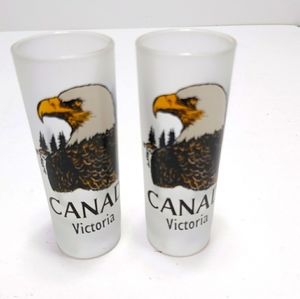 2x tall boy 4" Victoria shot glasses